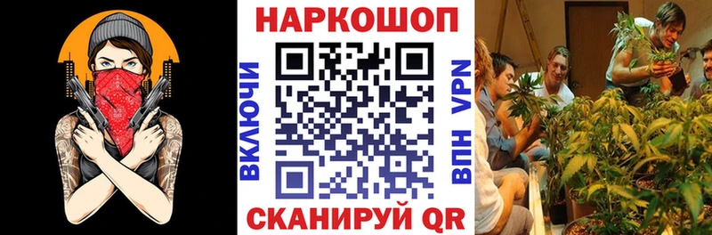 Купить закладку Клинцы Кокаин  Псилоцибиновые грибы  Конопля 