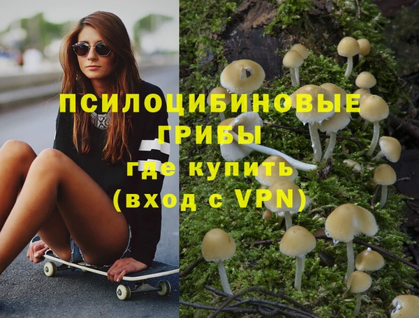 сатива Осинники