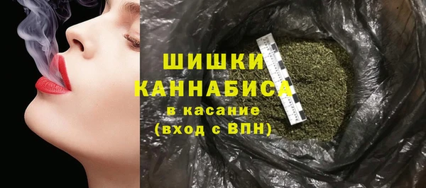 метадон Богданович