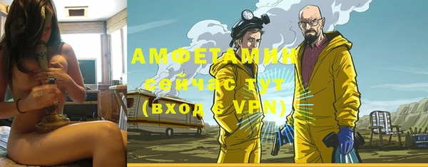 метадон Богданович