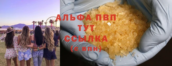 PSILOCYBIN Богородск